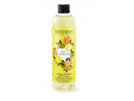Recarga de Perfume Terre d Agrumes Esteban Paris