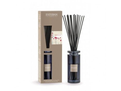 Mikado o Bouquet Perfumado Inicial Esprit de Thé. Esteban Paris