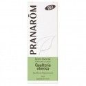 Aceite Esencial Gualteria olorosa Bio Pranarom