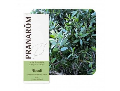 Aceite esencial Niaoulí qt cineol Pranarom