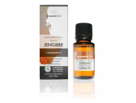Aceite Esencial Jengibre BIO- Terpenic
